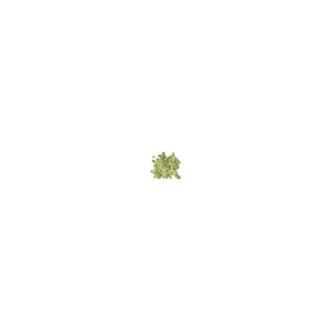 BROXO Orabrush